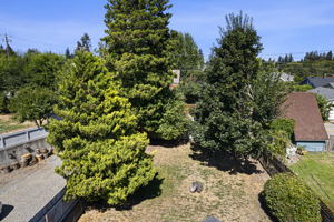 4311 N 29th St, Tacoma, WA 98407, USA Photo 7