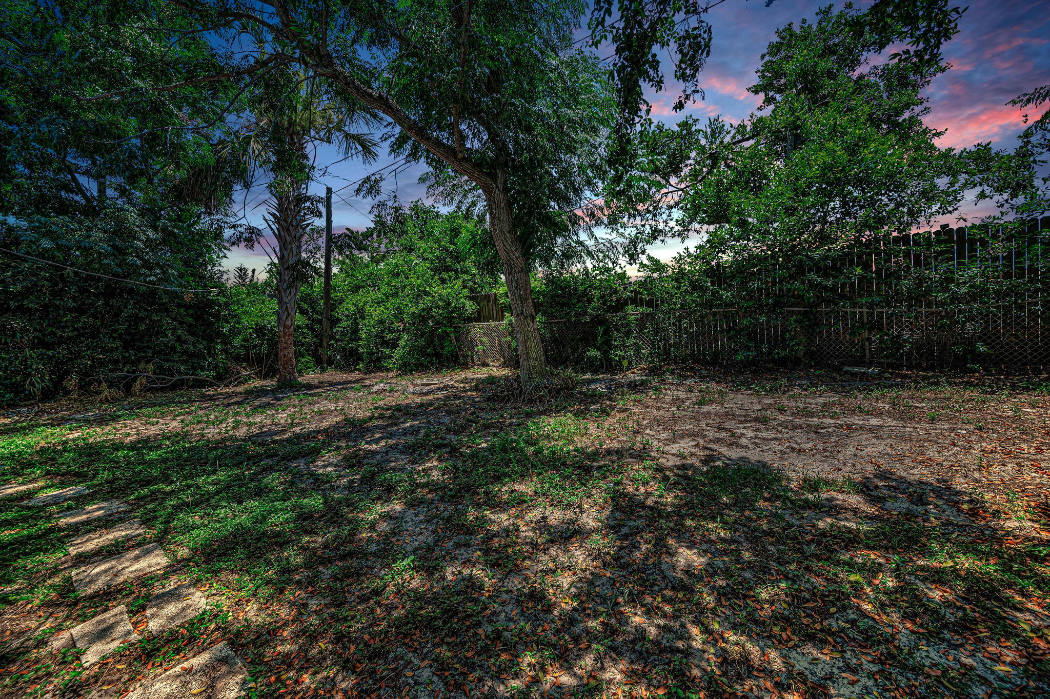 Backyard1