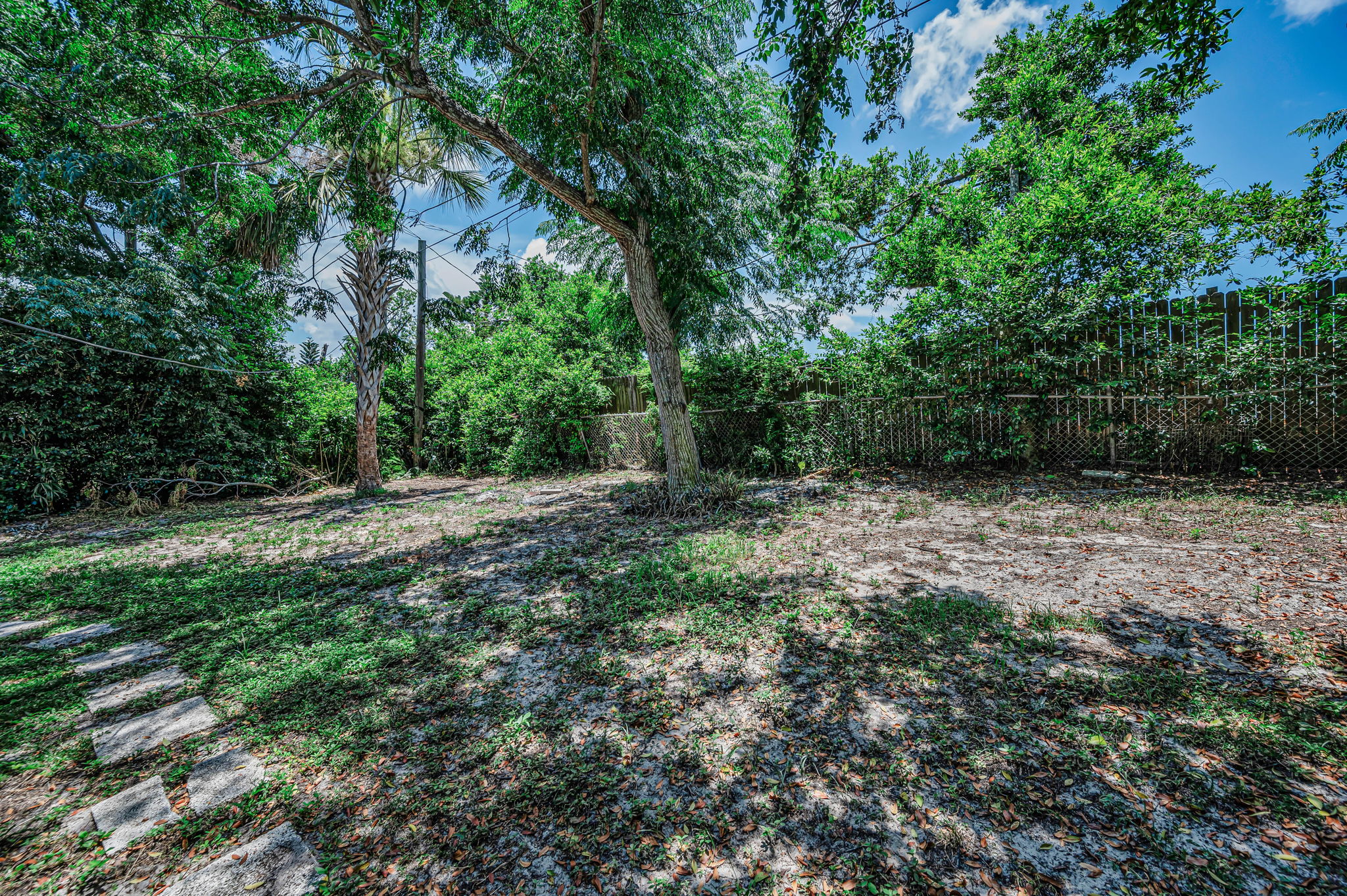 Backyard1