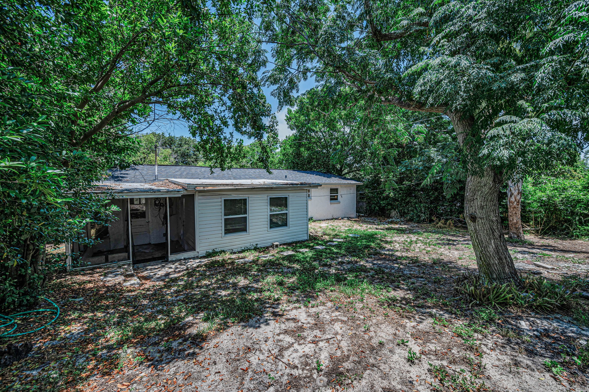 Backyard2