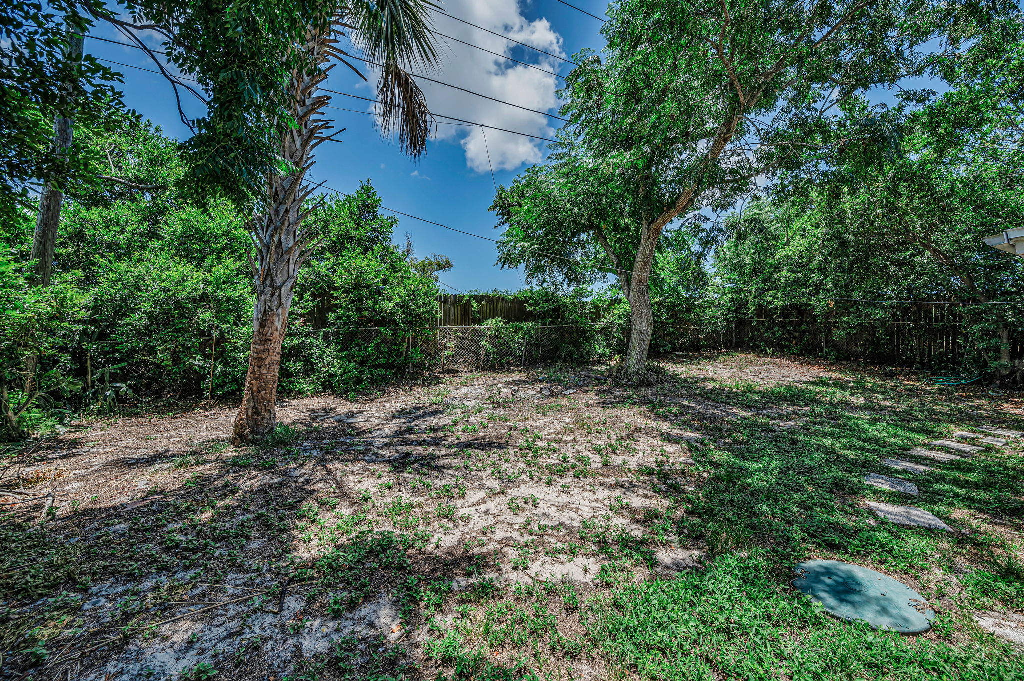 Backyard4