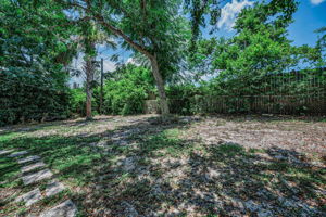 Backyard1