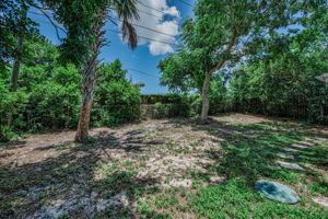 Backyard4