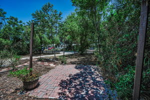 Frontyard2