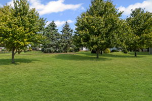  Photo 37