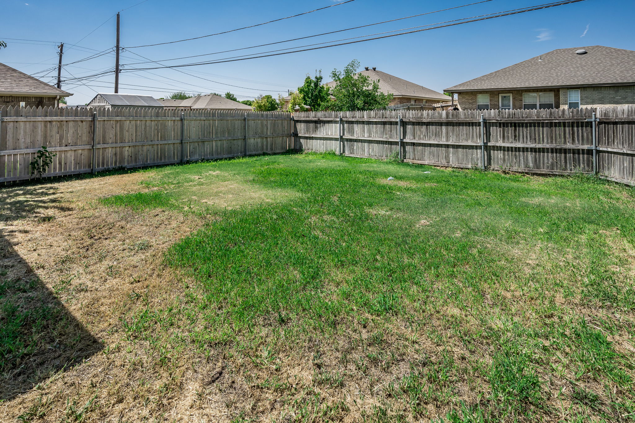 Back Yard