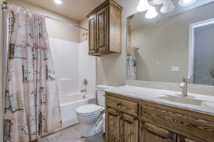 Hall Bathroom