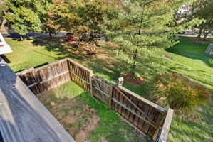  Photo 44