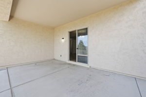Back Patio