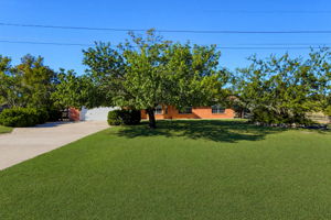  Photo 0