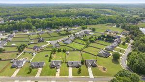 Image-41