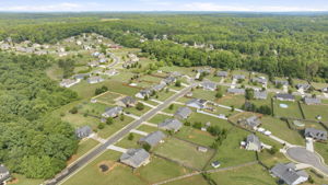Image-49