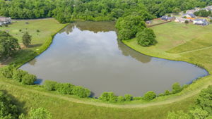 Image-55