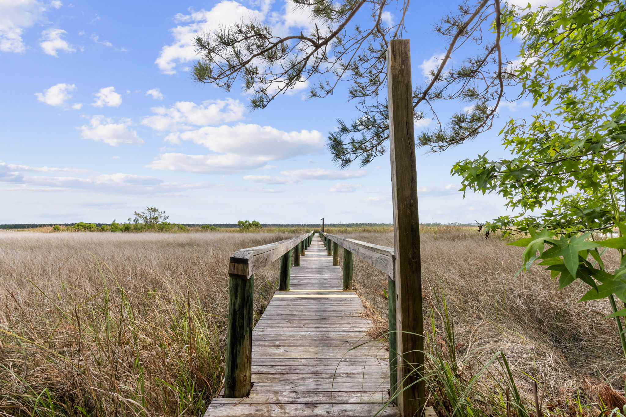 Boat Dock