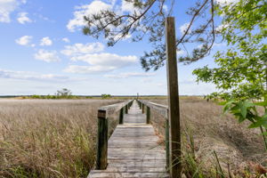 Boat Dock