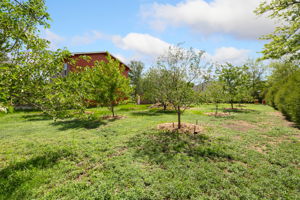  Photo 36