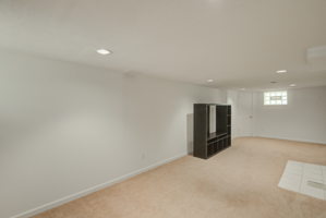 21 Basement 2