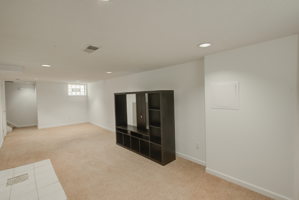 22 Basement 3