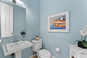  Photo 49
