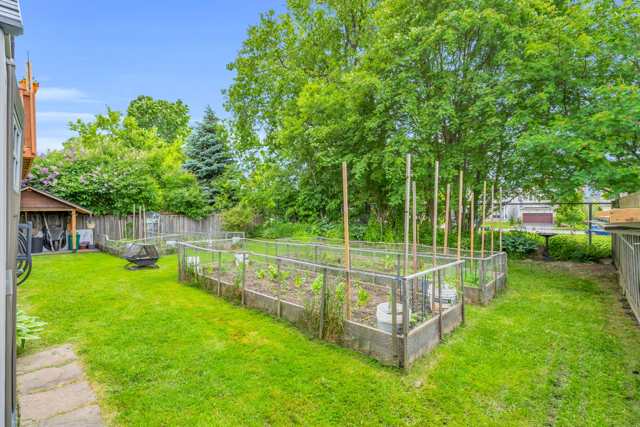 Backyard