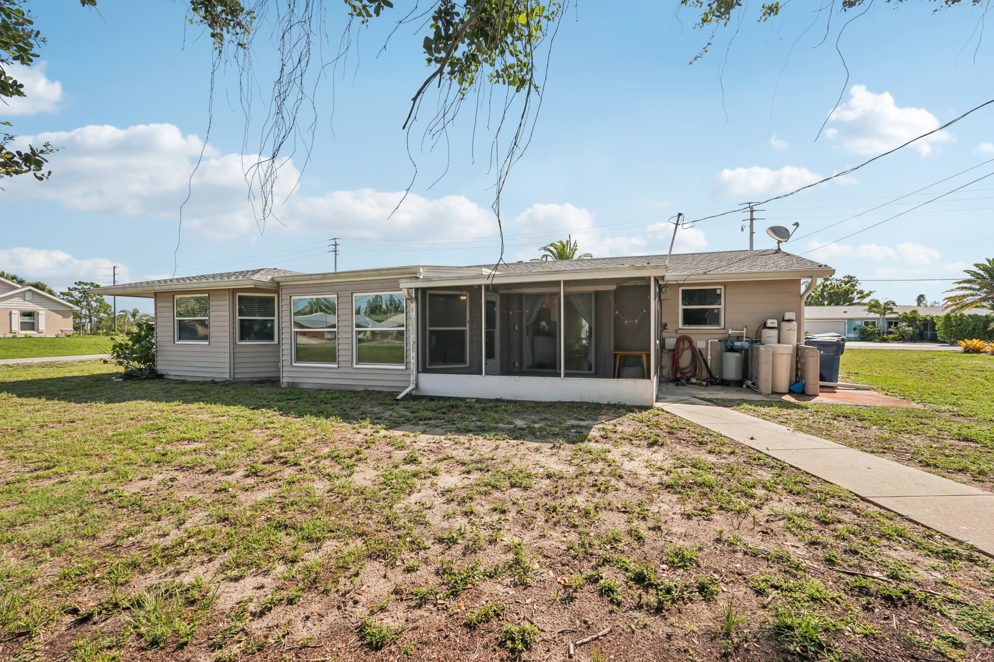 Alligator Dr-0406-029.jpg