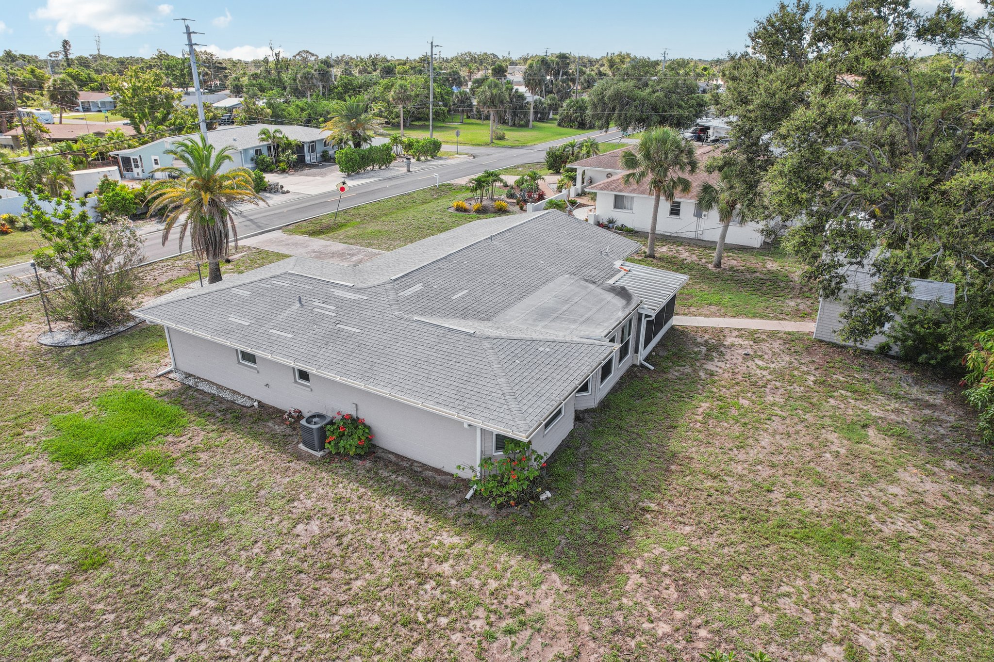 Alligator Dr-0406-037.jpg