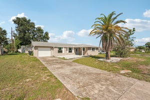 Alligator Dr-0406-002.jpg