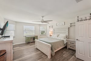 Alligator Dr-0406-014.jpg
