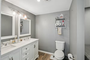 Alligator Dr-0406-020.jpg