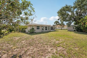 Alligator Dr-0406-027.jpg
