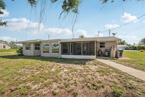 Alligator Dr-0406-029.jpg