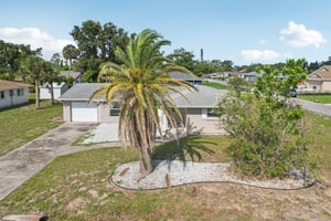Alligator Dr-0406-030.jpg