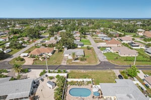 Alligator Dr-0406-031.jpg