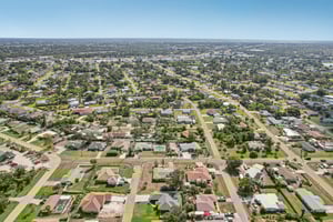 Alligator Dr-0406-036.jpg