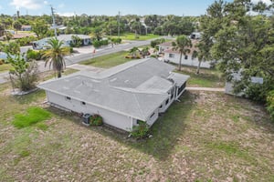 Alligator Dr-0406-037.jpg