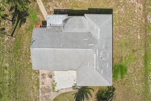 Alligator Dr-0406-038.jpg