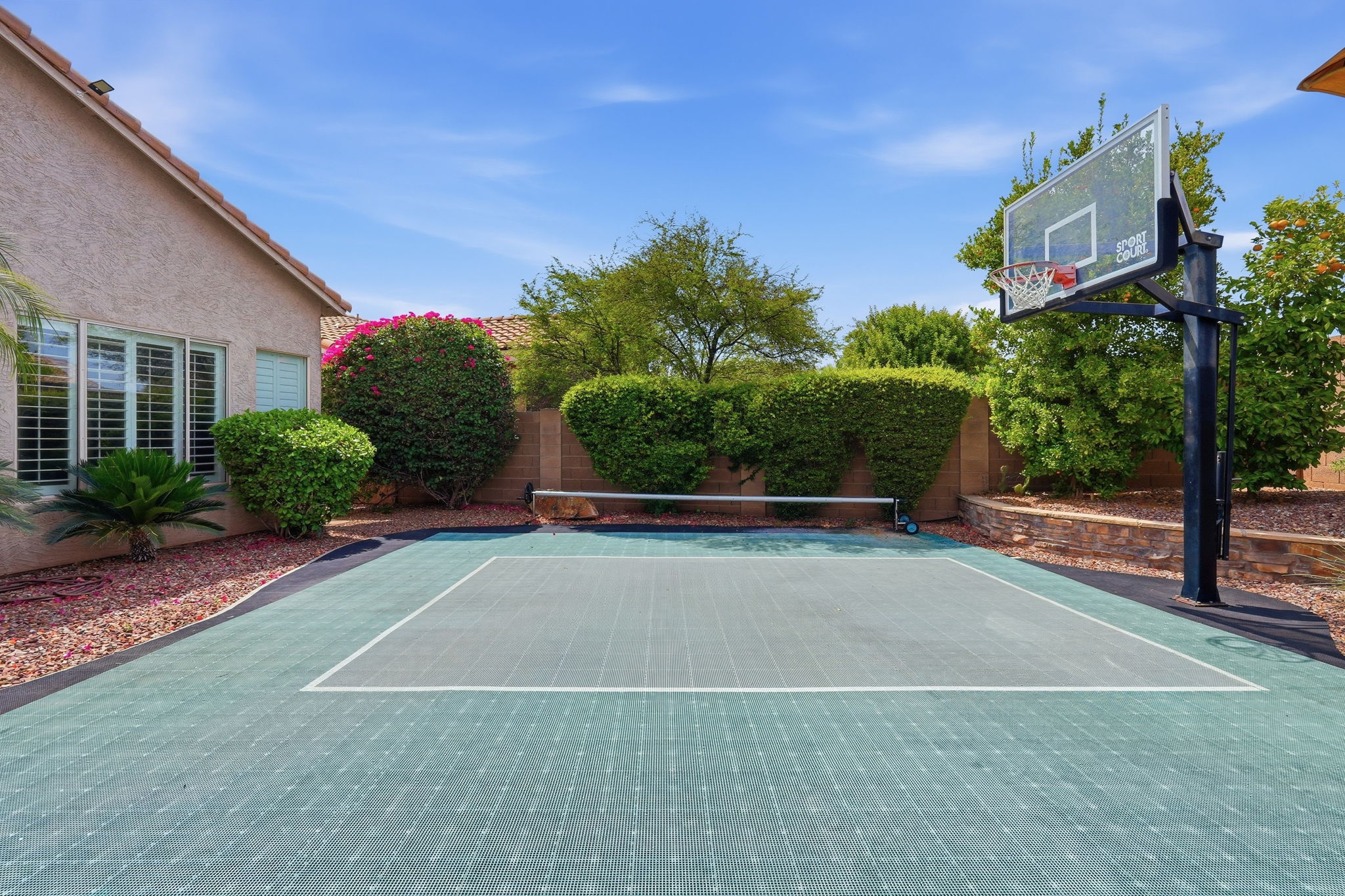  Photo 81