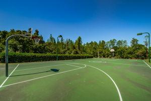 15-Basketball Court