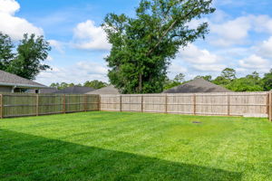 Fenced Back Yard