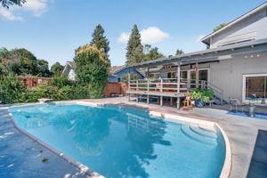  Photo 50