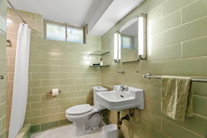  Photo 50