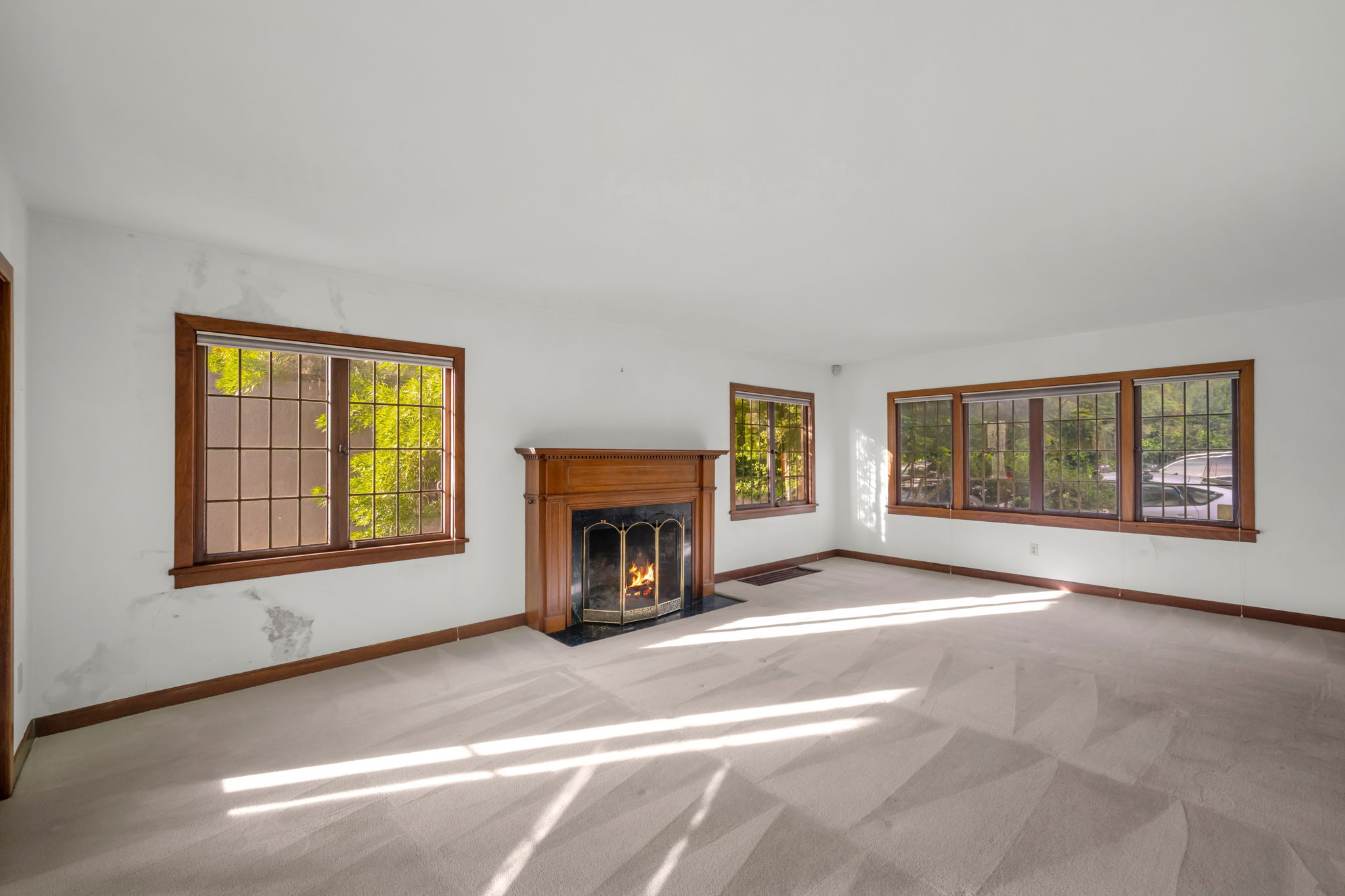  Photo 73