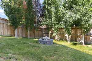  Photo 58