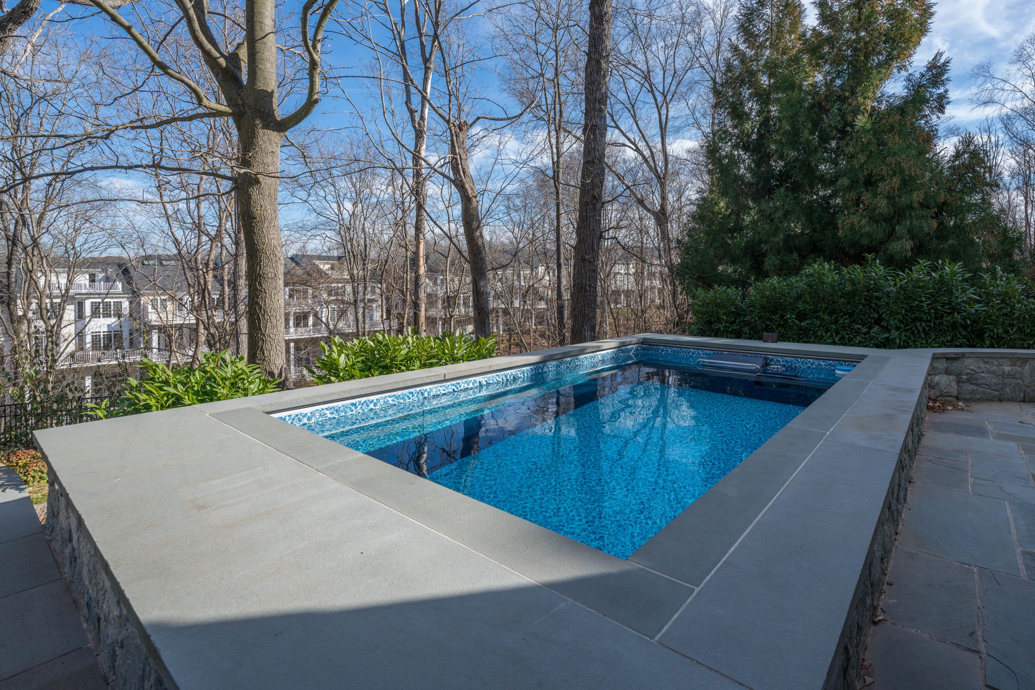 Endless Pool with cover and heat