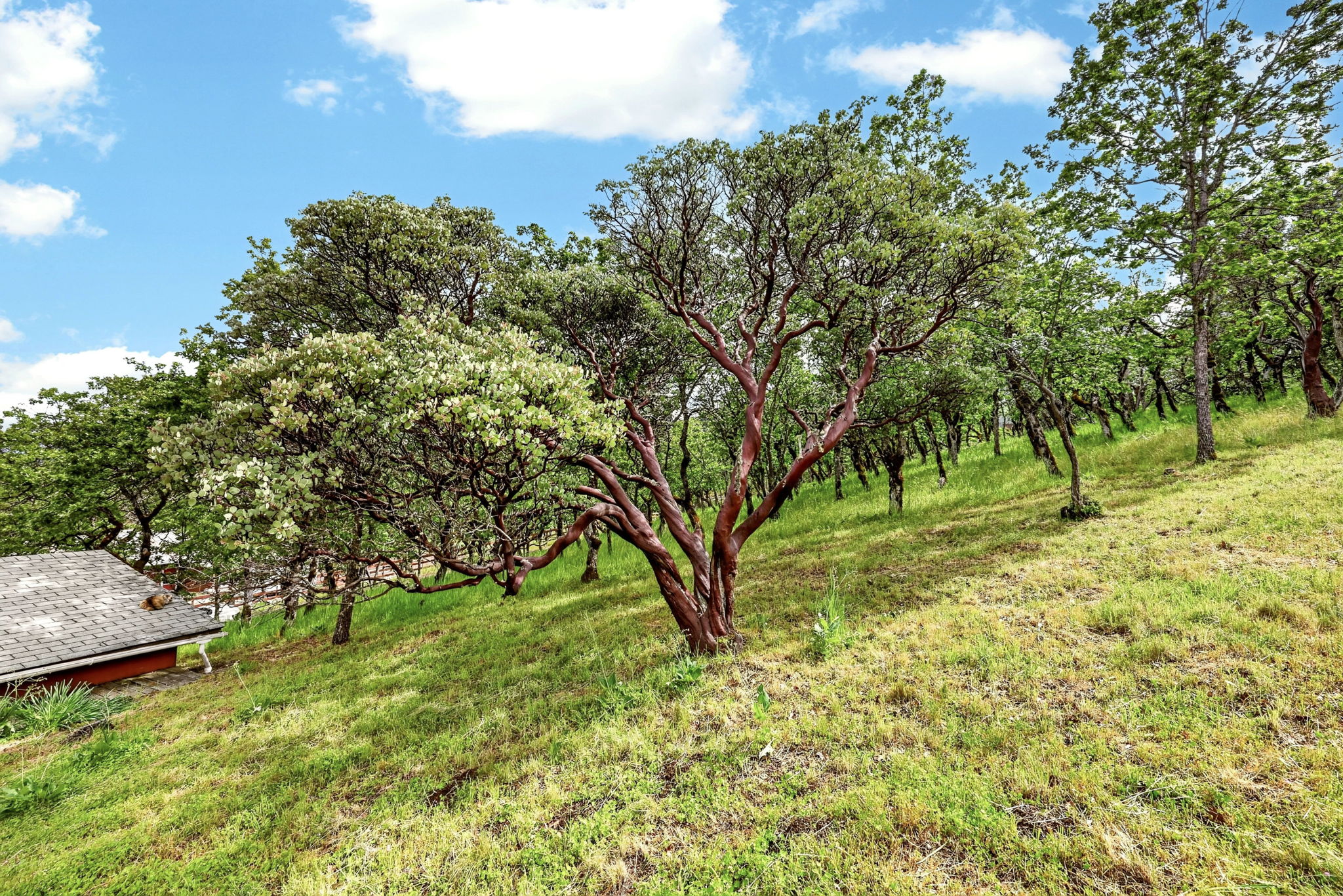  Photo 42