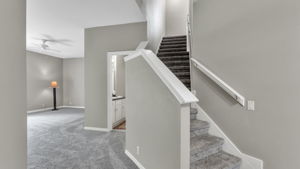  Photo 31