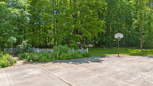  Photo 49
