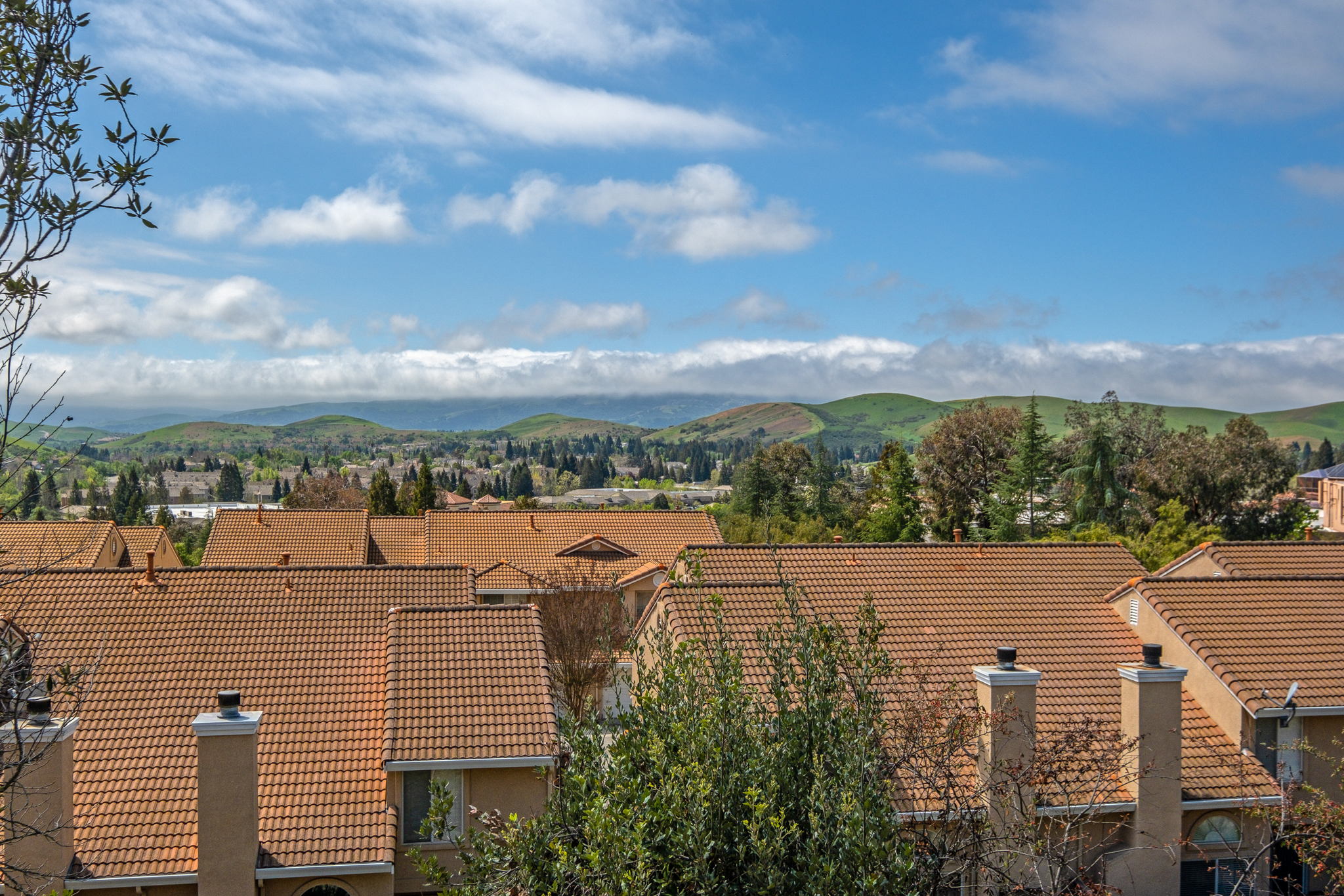 4347 Conejo Dr, Danville, CA 94506, USA Photo 25