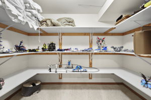 Rec Room Closet