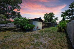 Backyard 3